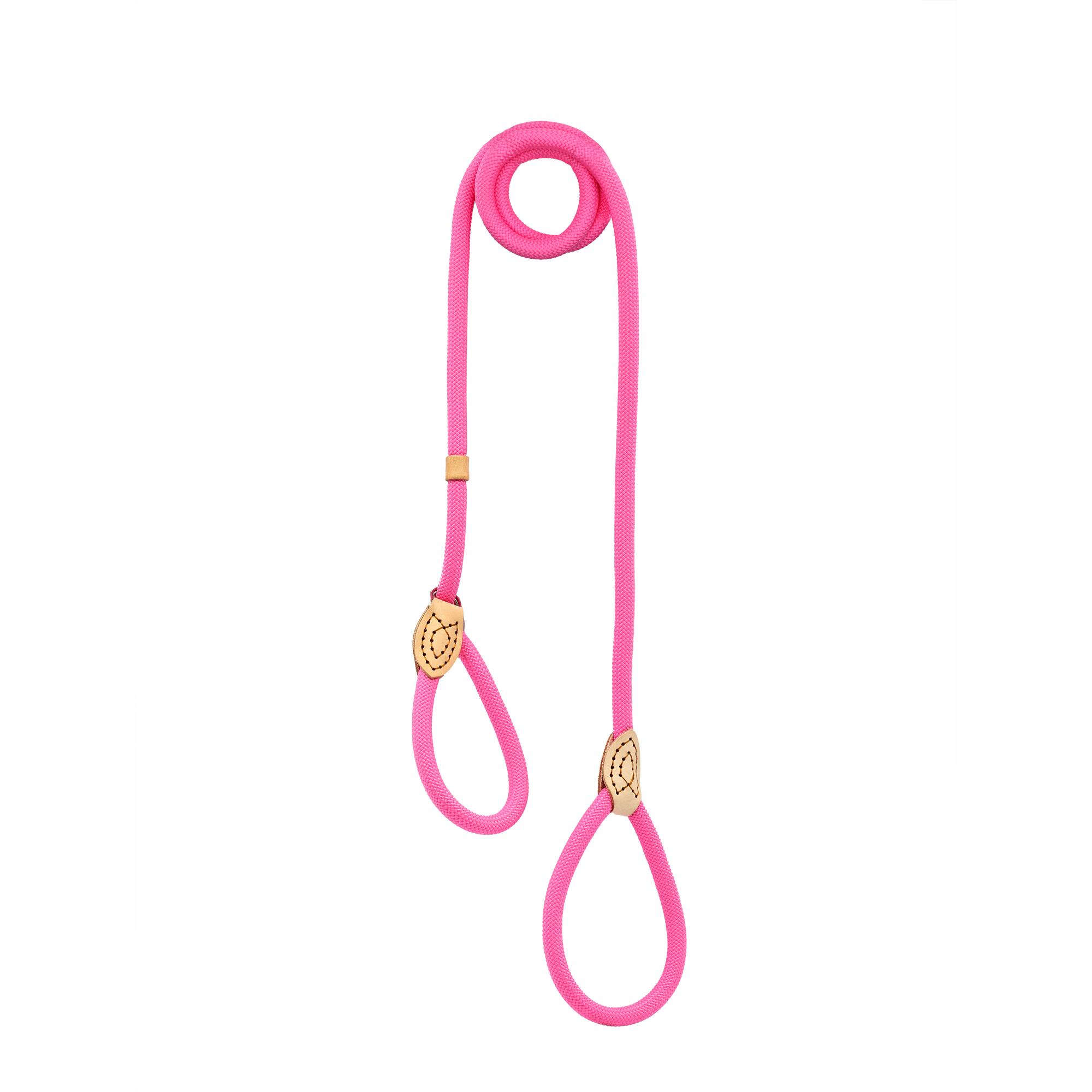 Assorted 5ft. Pet Leash, 1pc. by Fab Finds